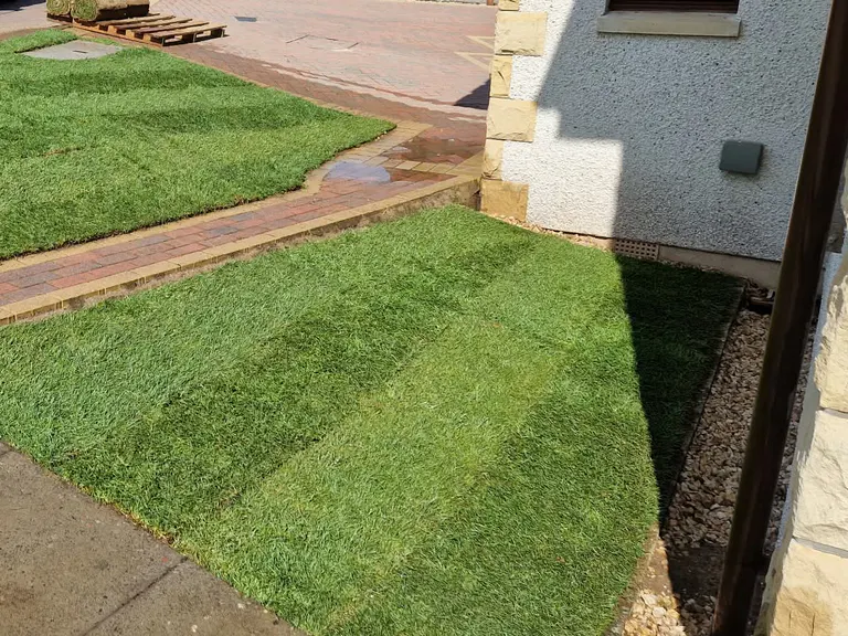 Freshly re-turfed front garden with a neat, even finish
