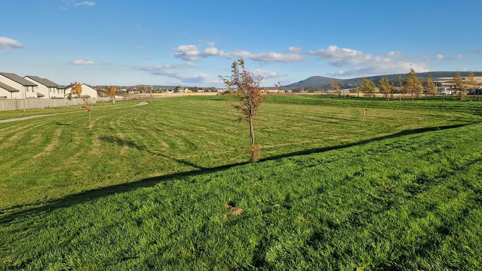 Large maintained green space beside homes on a housing estate