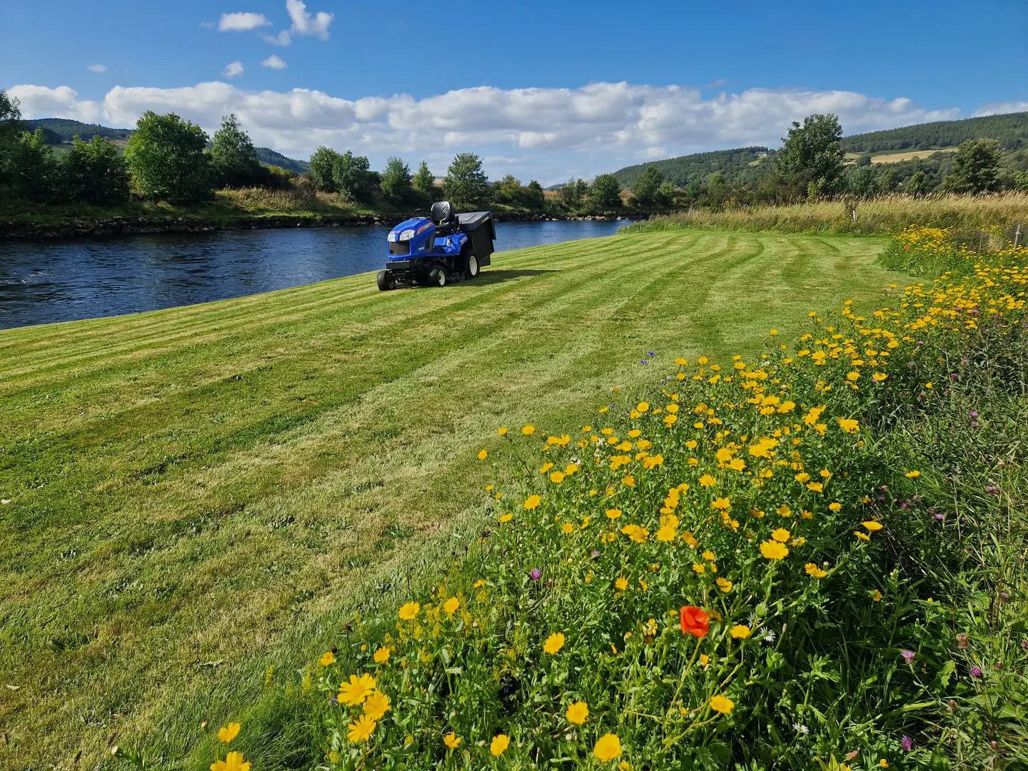 Freshly cut riverside lawn with wildflowers along the edge